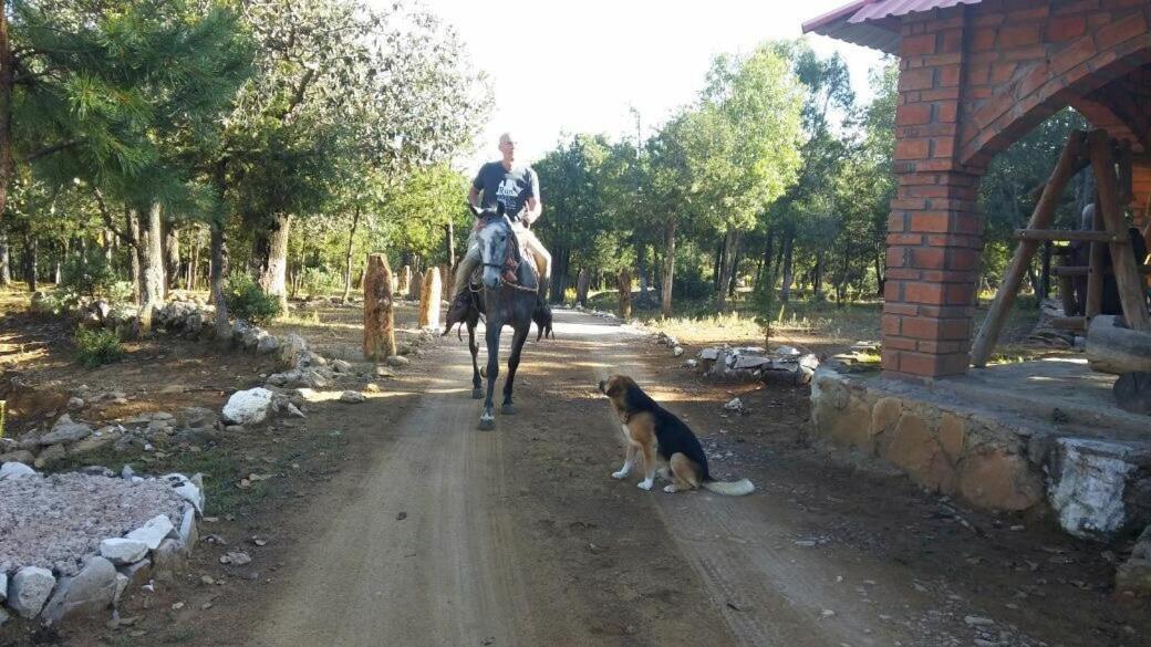 Rancho Cabanas San Isidro Cerocahuí Eksteriør billede