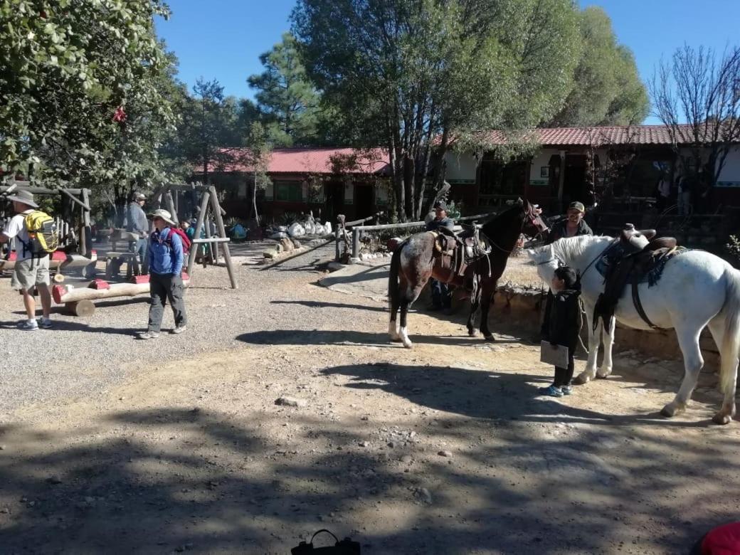 Rancho Cabanas San Isidro Cerocahuí Eksteriør billede